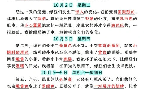 25秋🍎四年级上册语文第三单元《写观察日记》作文支架＋观察记录表+优秀范文_25秋语文1-6年级上册热门资料