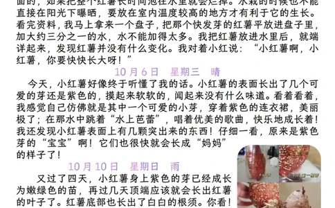 25秋🍎四年级上册语文第三单元《写观察日记》作文支架＋观察记录表+优秀范文_25秋语文1-6年级上册热门资料