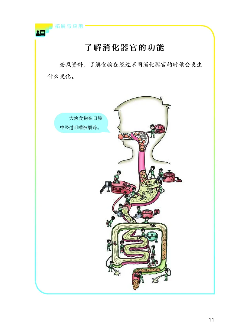 人教版3年级科学上册高清教材_全部版本&bull;小学科学电子课本_人教版小学科学电子课本