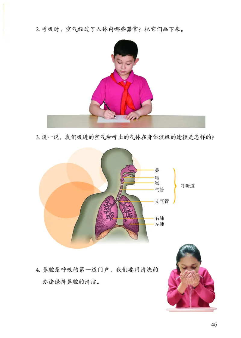 人教版3年级科学上册高清教材_全部版本&bull;小学科学电子课本_人教版小学科学电子课本