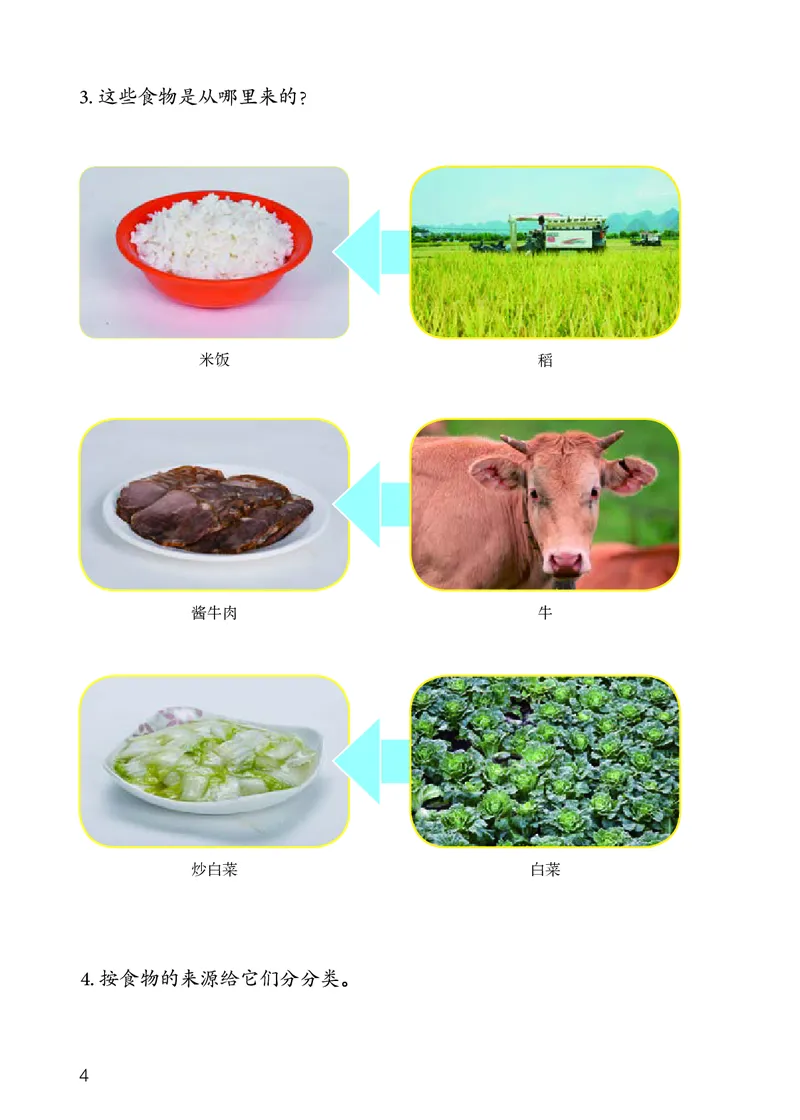 人教版3年级科学上册高清教材_全部版本&bull;小学科学电子课本_人教版小学科学电子课本
