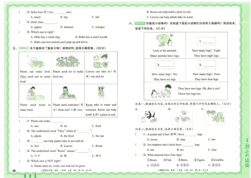 25秋英语人教PEP版3上_2025秋《王朝霞活页卷》英语人教3-6