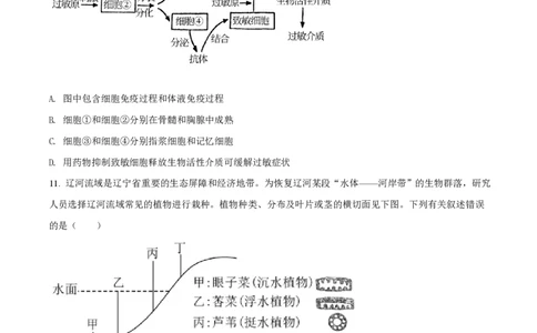2021年高考生物试卷（辽宁）（空白卷）_生物历年高考真题_新&middot;PDF版2008-2025&middot;高考生物真题_生物（按省份分类）2008-2025_2010-2025&middot;（辽宁）生物高考真题