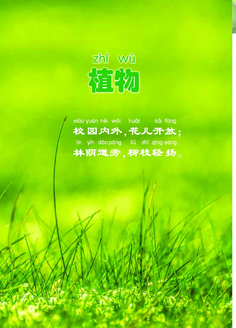 冀教版1年级科学上册高清教材_全部版本&bull;小学科学电子课本_冀教版小学科学电子课本