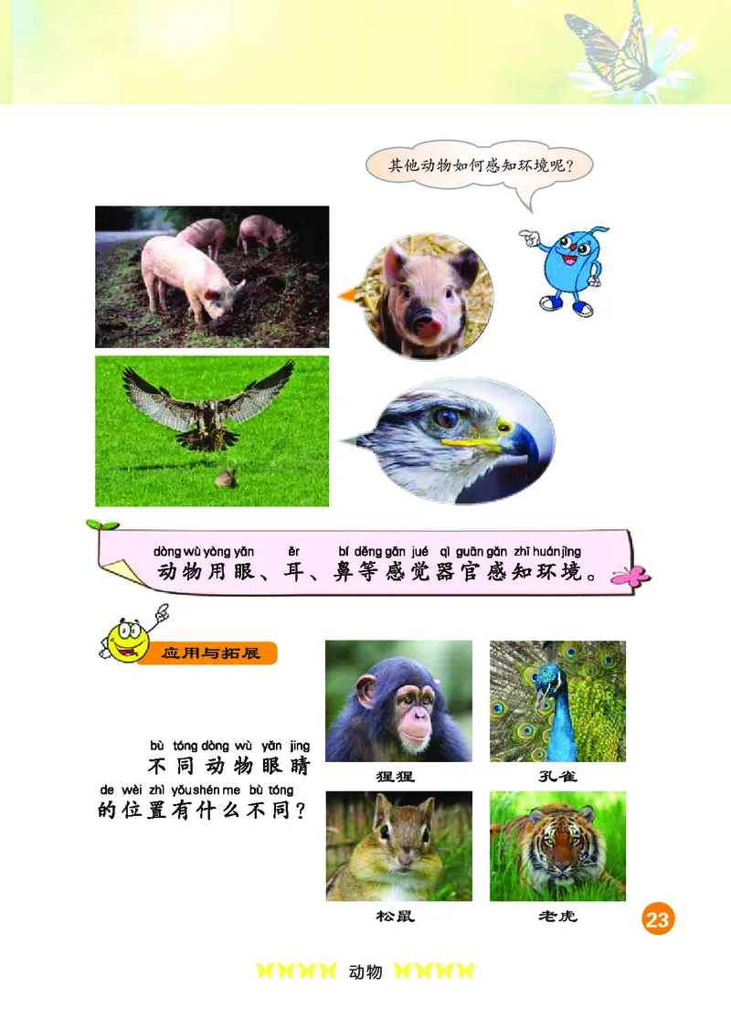 冀教版1年级科学上册高清教材_全部版本&bull;小学科学电子课本_冀教版小学科学电子课本