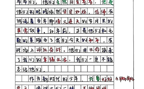 大阅兵观后感(2)_小学全网线上同款资料_42号文件大阅兵观后感