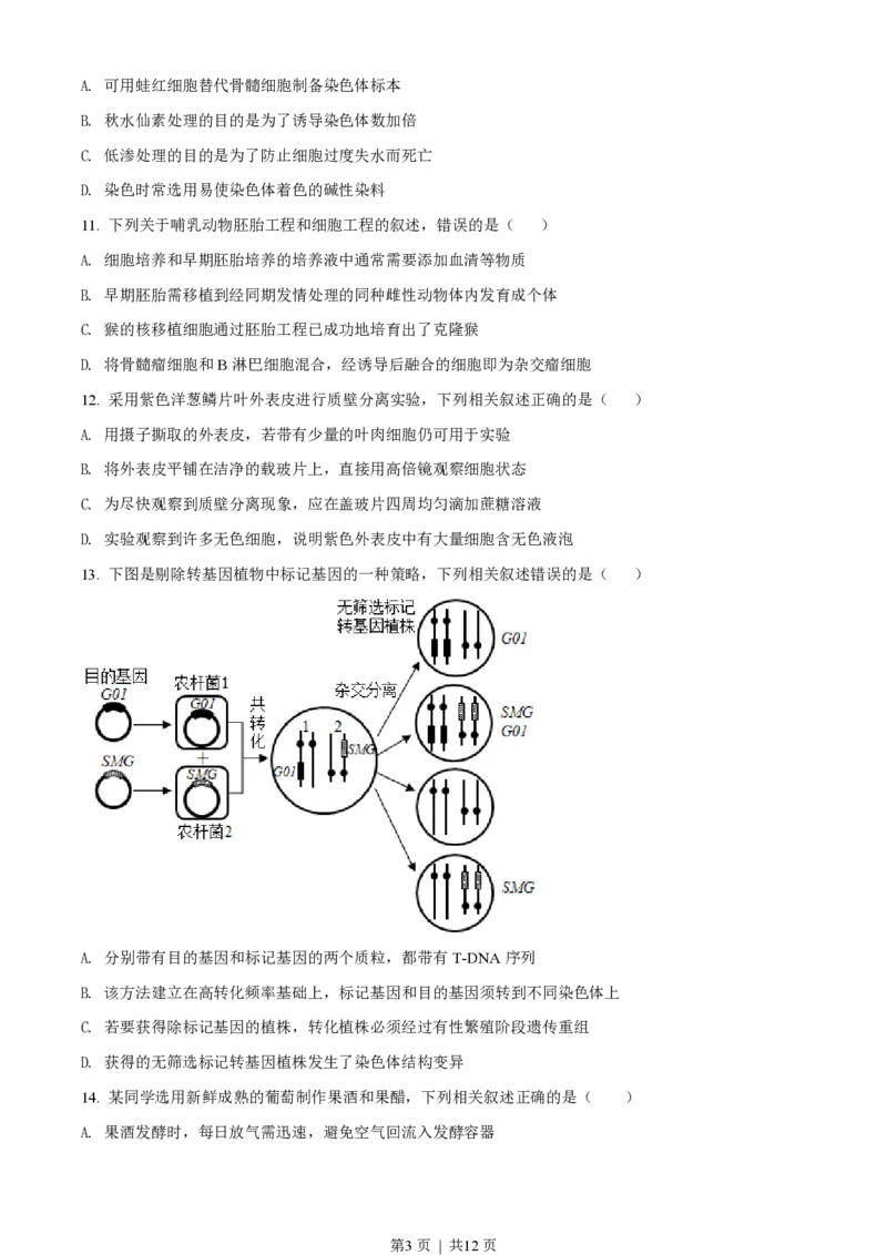 2021年高考生物试卷（江苏）（空白卷）_生物历年高考真题_新&middot;PDF版2008-2025&middot;高考生物真题_生物（按试卷类型分类）2008-2025_自主命题卷&middot;生物（2008-2025）_江苏自主命题&middot;生物（2008-2025）