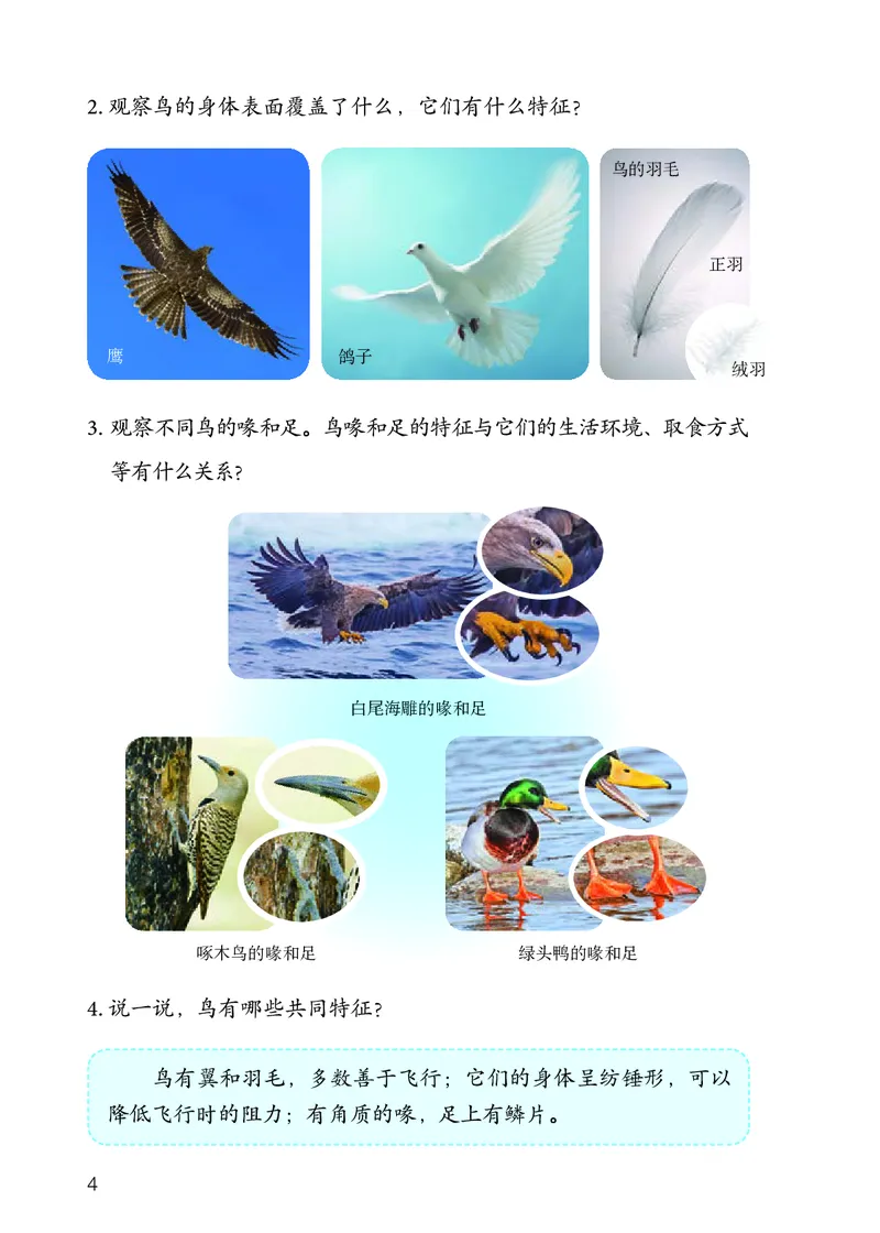 人教版4年级科学上册高清教材_全部版本&bull;小学科学电子课本_人教版小学科学电子课本