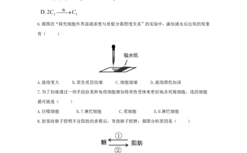 2021年高考生物试卷（上海）（答案卷）_生物历年高考真题_新&middot;PDF版2008-2025&middot;高考生物真题_生物（按年份分类）2008-2025_2021&middot;高考生物真题