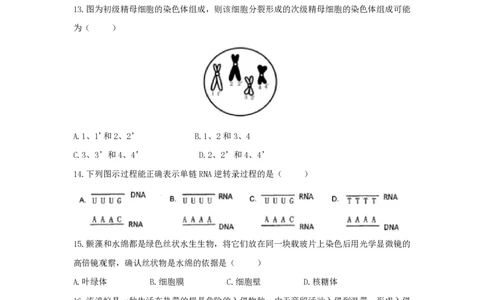 2021年高考生物试卷（上海）（答案卷）_生物历年高考真题_新&middot;PDF版2008-2025&middot;高考生物真题_生物（按年份分类）2008-2025_2021&middot;高考生物真题
