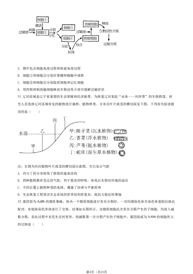 2021年高考生物试卷（辽宁）（空白卷）_生物历年高考真题_新&middot;Word版2008-2025&middot;高考生物真题_生物（按年份分类）2008-2025_2021&middot;高考生物真题