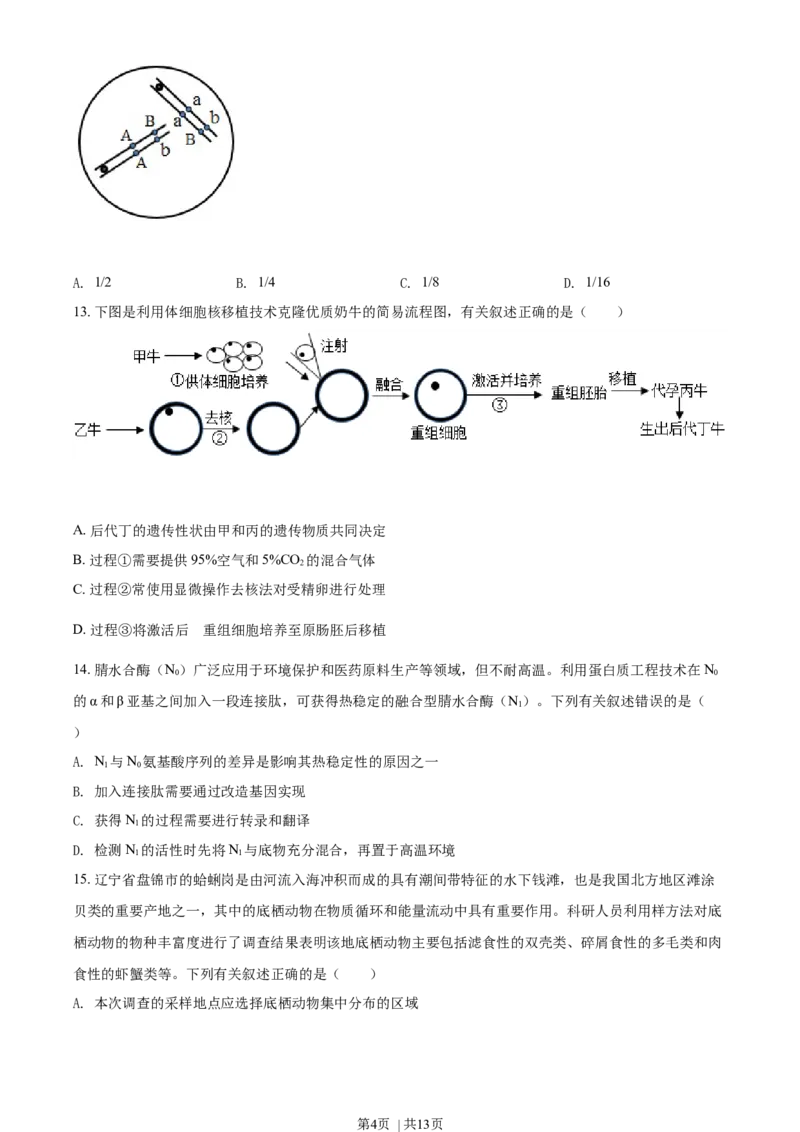 2021年高考生物试卷（辽宁）（空白卷）_生物历年高考真题_新&middot;Word版2008-2025&middot;高考生物真题_生物（按年份分类）2008-2025_2021&middot;高考生物真题