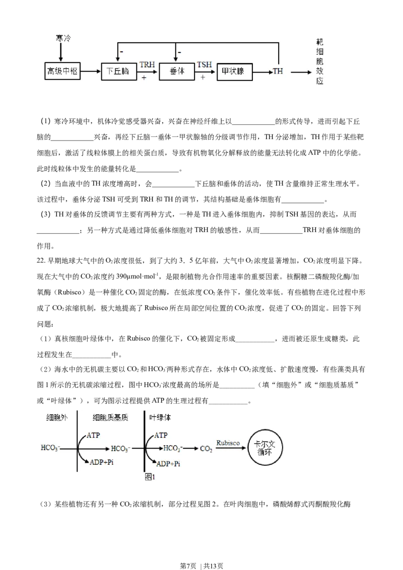 2021年高考生物试卷（辽宁）（空白卷）_生物历年高考真题_新&middot;Word版2008-2025&middot;高考生物真题_生物（按年份分类）2008-2025_2021&middot;高考生物真题