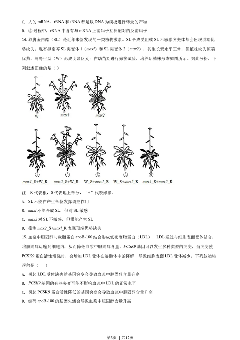 2021年高考生物试卷（湖南）（空白卷）_生物历年高考真题_新&middot;Word版2008-2025&middot;高考生物真题_生物（按年份分类）2008-2025_2021&middot;高考生物真题