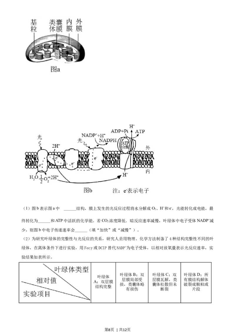 2021年高考生物试卷（湖南）（空白卷）_生物历年高考真题_新&middot;Word版2008-2025&middot;高考生物真题_生物（按年份分类）2008-2025_2021&middot;高考生物真题