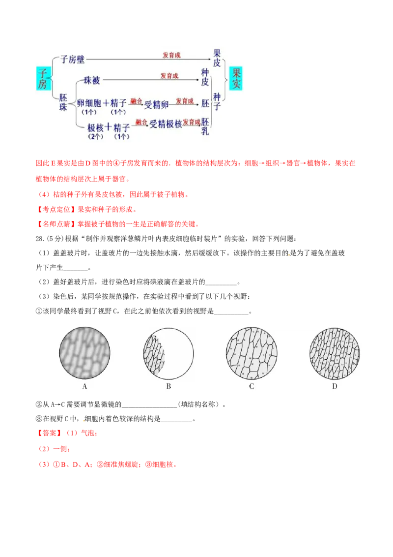 2017年福建省中考生物真题（解析卷）_福建中考1_6.福建中考生物（2017-2025）