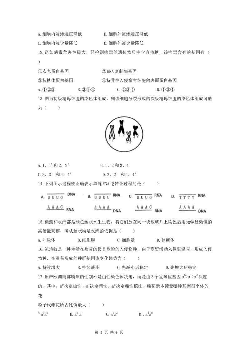 2021年高考生物试卷（上海）（空白卷）_生物历年高考真题_新&middot;Word版2008-2025&middot;高考生物真题_生物（按年份分类）2008-2025_2021&middot;高考生物真题