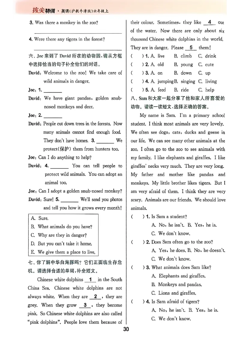 拔尖特训_25秋《拔尖特训》沪教版六上