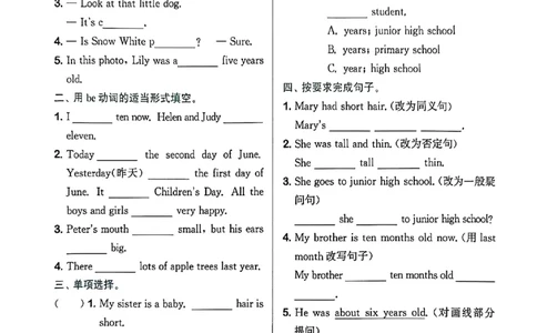拔尖特训_25秋《拔尖特训》沪教版六上