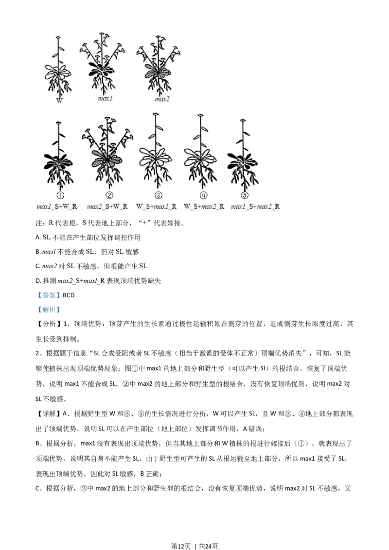 2021年高考生物试卷（湖南）（解析卷）_生物历年高考真题_新&middot;Word版2008-2025&middot;高考生物真题_生物（按年份分类）2008-2025_2021&middot;高考生物真题