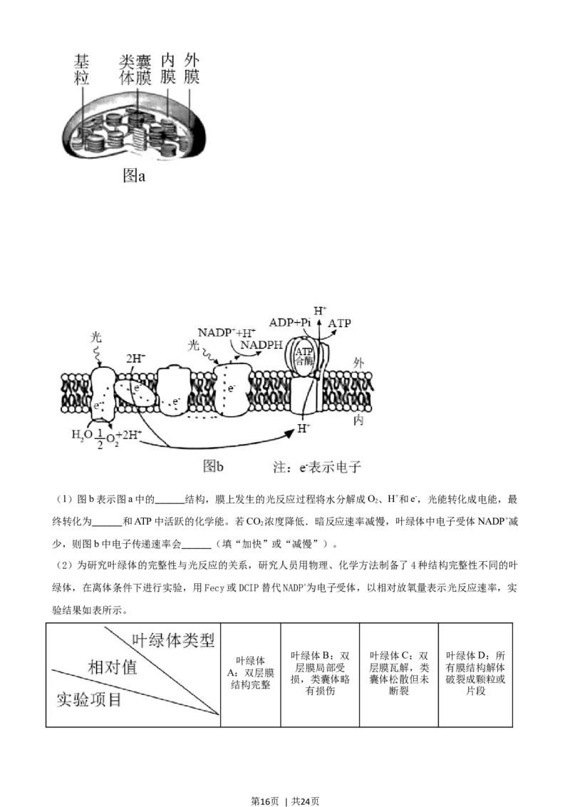 2021年高考生物试卷（湖南）（解析卷）_生物历年高考真题_新&middot;Word版2008-2025&middot;高考生物真题_生物（按年份分类）2008-2025_2021&middot;高考生物真题