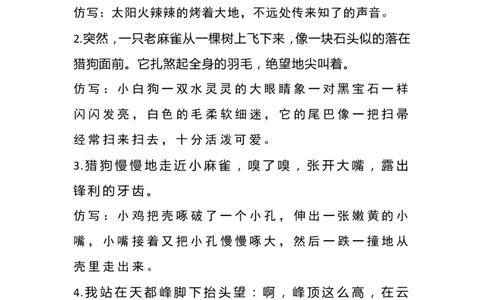 四（上）语文重点第5单元重点句子仿写_上册_四（上）语文期末重点归类文件