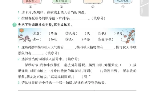 期中《语文园地专项练习》（3年级上）_🍎⭐️期中语文园地25年上册