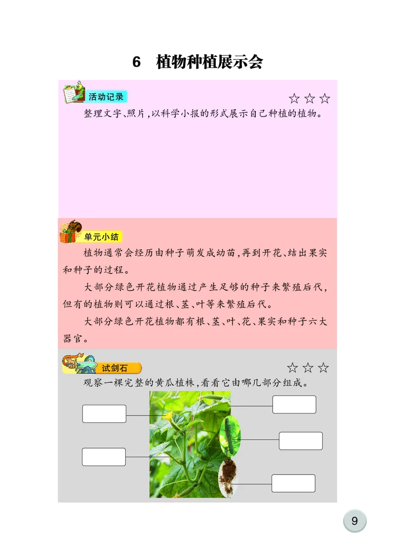 大象版3年级科学下册活动手册_全部版本&bull;小学科学电子课本_大象版小学科学电子课本