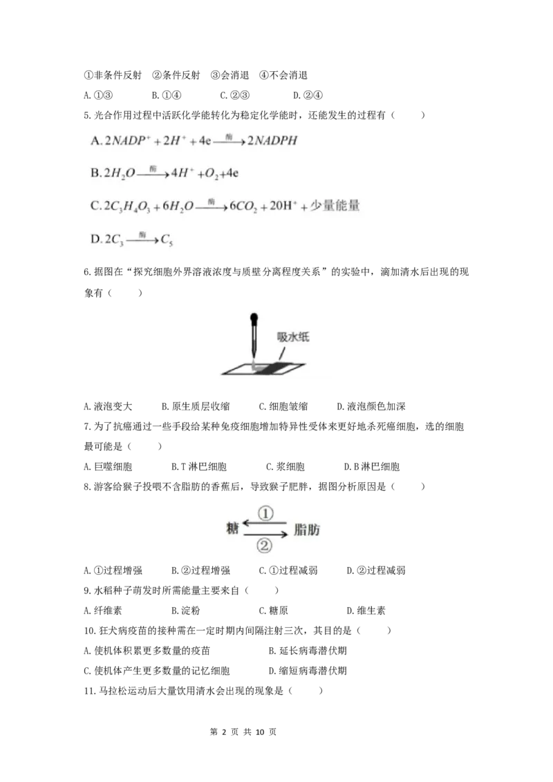 2021年高考生物试卷（上海）（答案卷）_生物历年高考真题_新&middot;Word版2008-2025&middot;高考生物真题_生物（按省份分类）2008-2025_2008-2022&middot;（上海）生物高考真题
