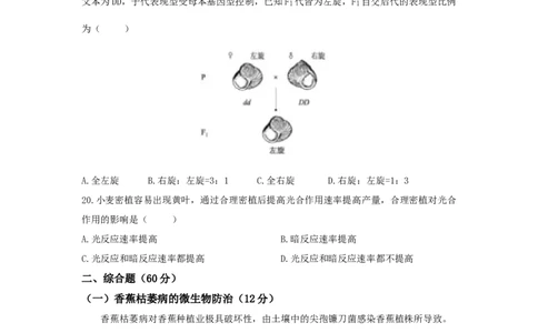 2021年高考生物试卷（上海）（答案卷）_生物历年高考真题_新&middot;Word版2008-2025&middot;高考生物真题_生物（按省份分类）2008-2025_2008-2022&middot;（上海）生物高考真题