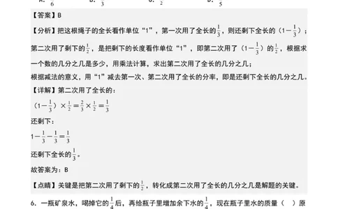 专项练习九：单位&ldquo;1&rdquo;转化问题（解析版）_小学全网线上同款资料_22号文件6上数学分数乘除
