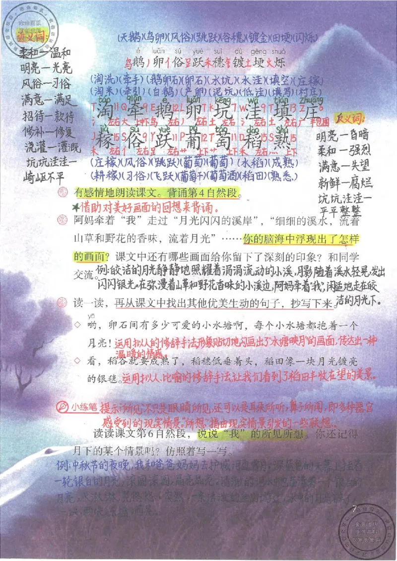 四年级语文上册课堂笔记_小学全网线上同款资料_11号