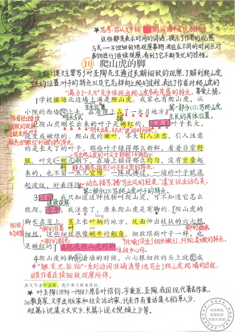 四年级语文上册课堂笔记_小学全网线上同款资料_11号