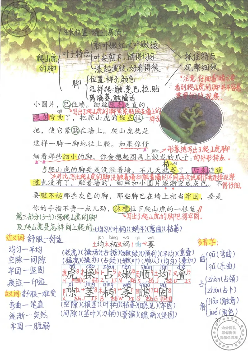 四年级语文上册课堂笔记_小学全网线上同款资料_11号