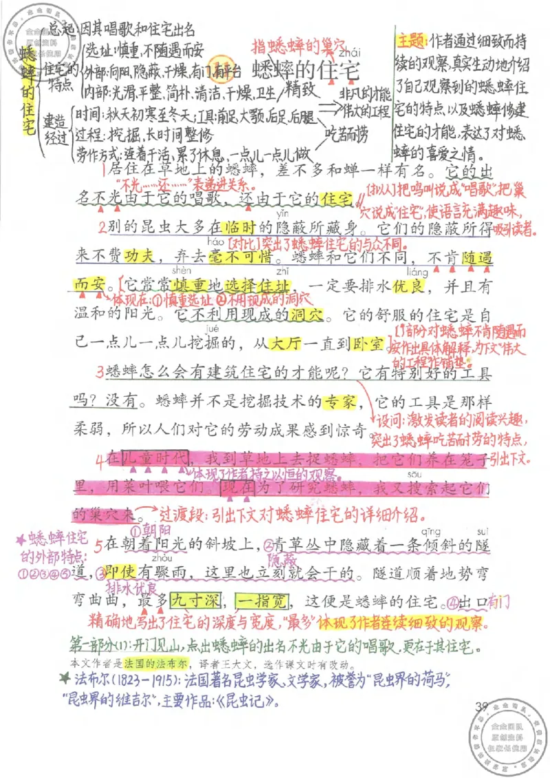 四年级语文上册课堂笔记_小学全网线上同款资料_11号