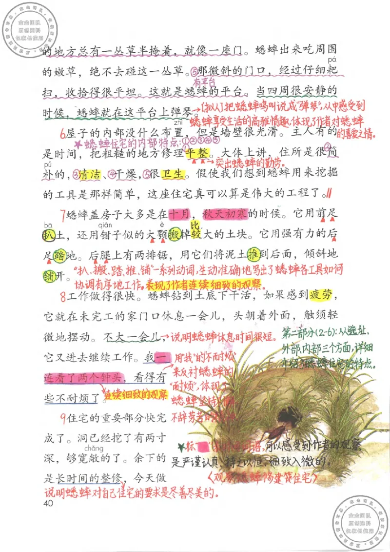 四年级语文上册课堂笔记_小学全网线上同款资料_11号