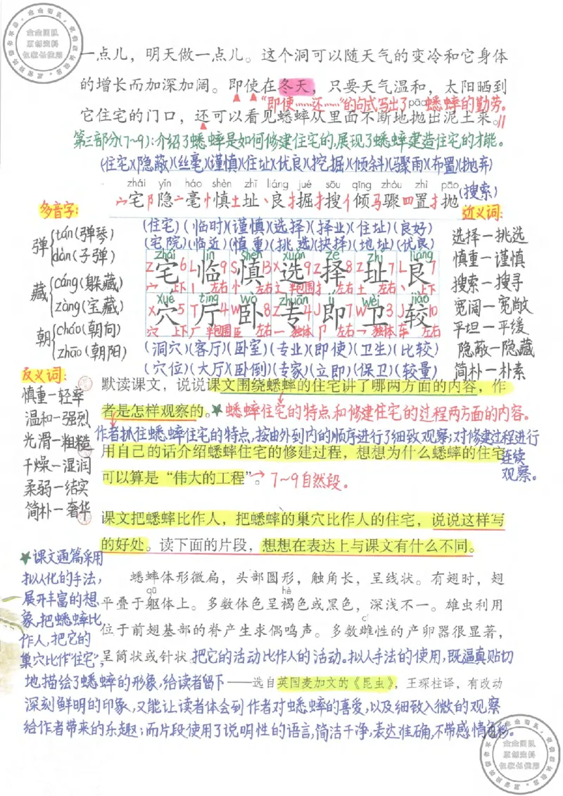 四年级语文上册课堂笔记_小学全网线上同款资料_11号