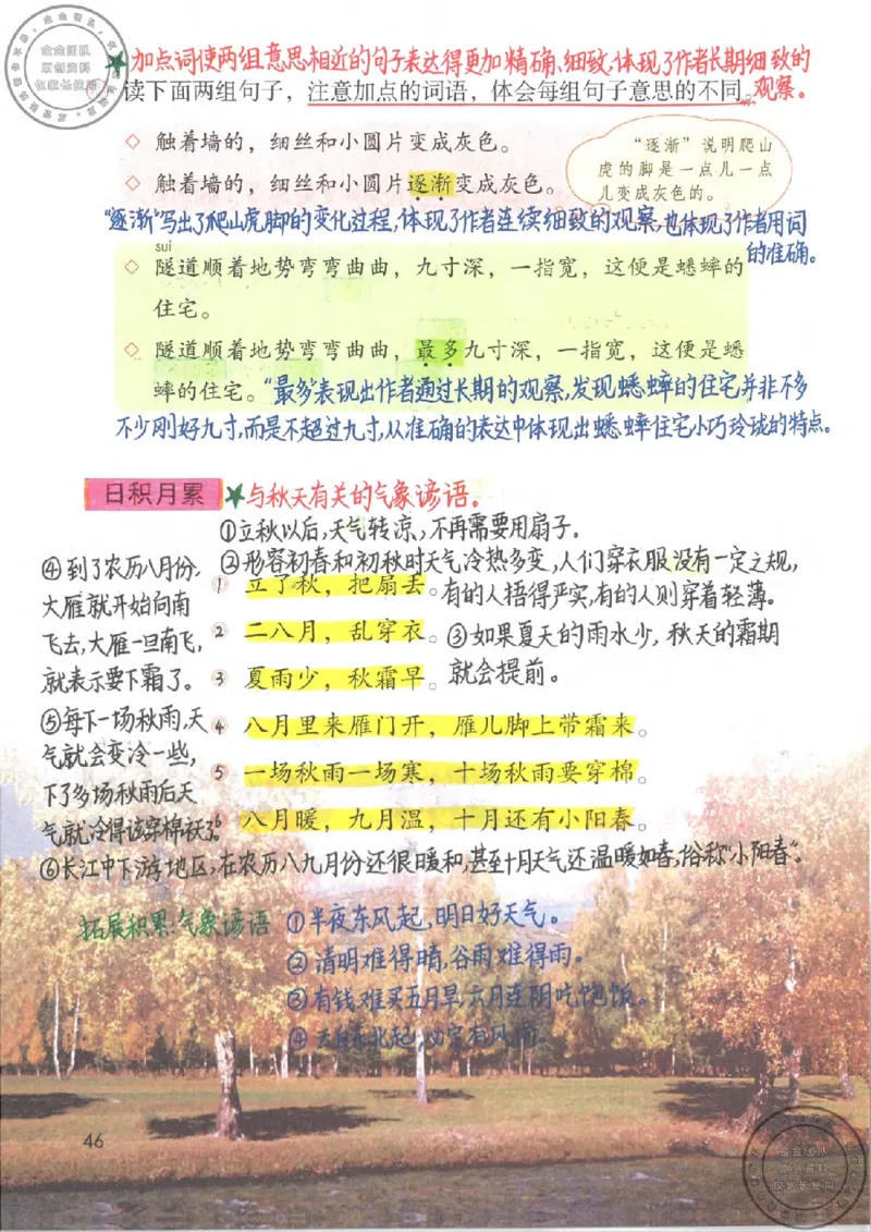 四年级语文上册课堂笔记_小学全网线上同款资料_11号