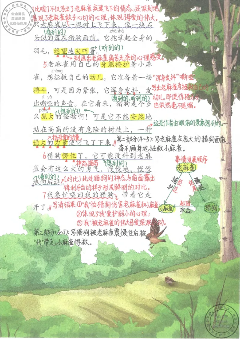 四年级语文上册课堂笔记_小学全网线上同款资料_11号