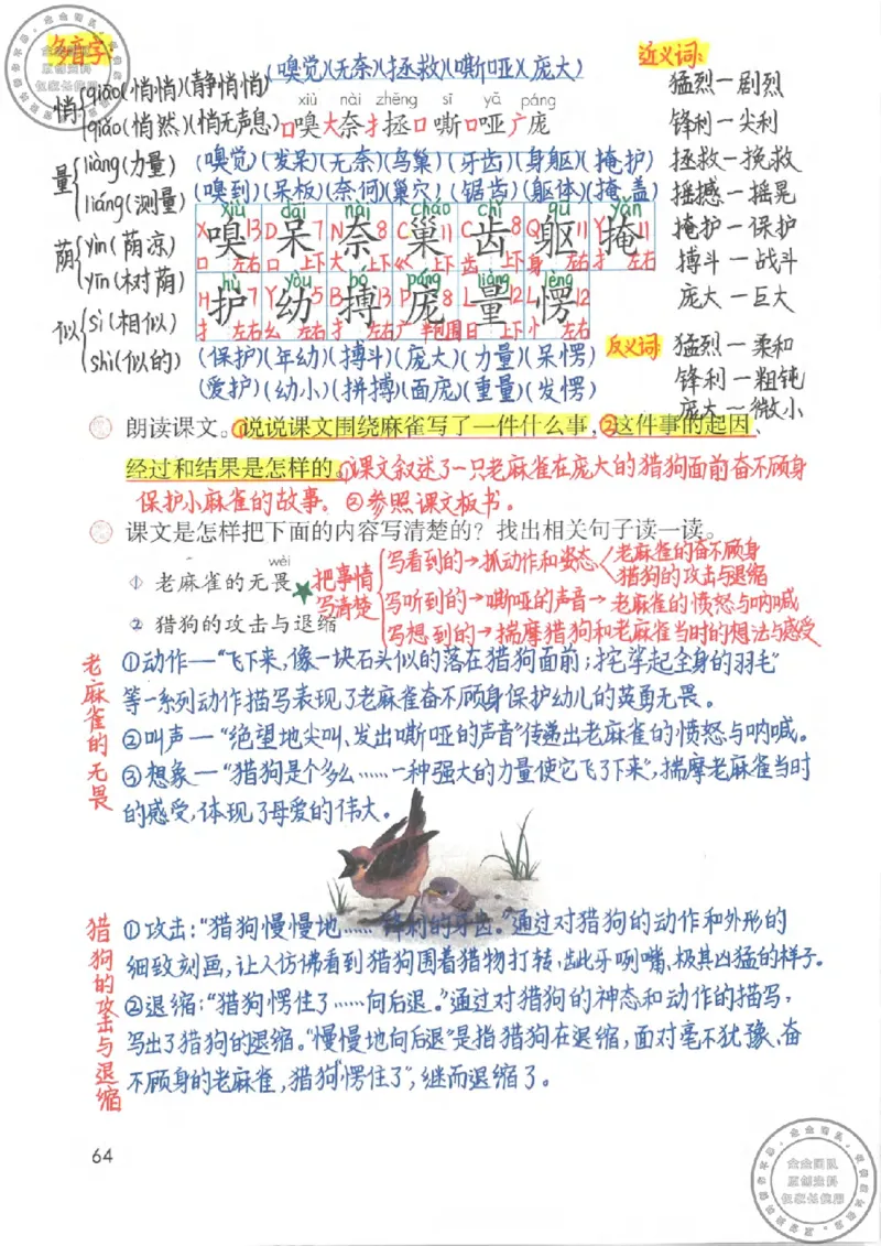 四年级语文上册课堂笔记_小学全网线上同款资料_11号