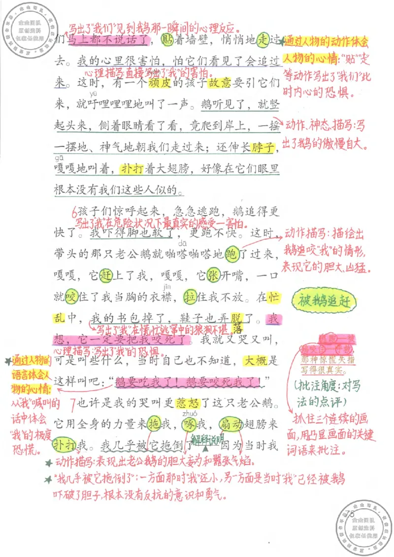 四年级语文上册课堂笔记_小学全网线上同款资料_11号