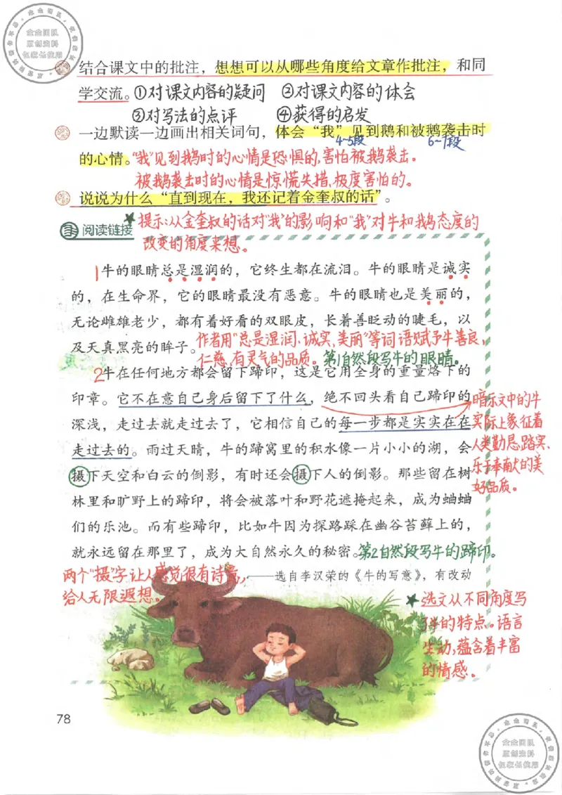 四年级语文上册课堂笔记_小学全网线上同款资料_11号