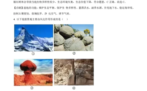 2022年高考地理试卷（浙江）（1月）（解析卷）_地理历年高考真题_新&middot;PDF版2008-2025&middot;高考地理真题_地理（按年份分类）2008-2025_2022&middot;地理高考真题