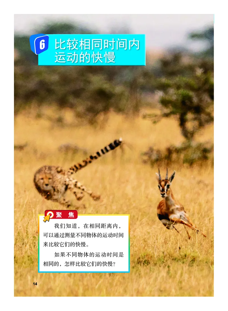 教科版3年级科学下册高清教材_全部版本&bull;小学科学电子课本_教科版小学科学电子课本