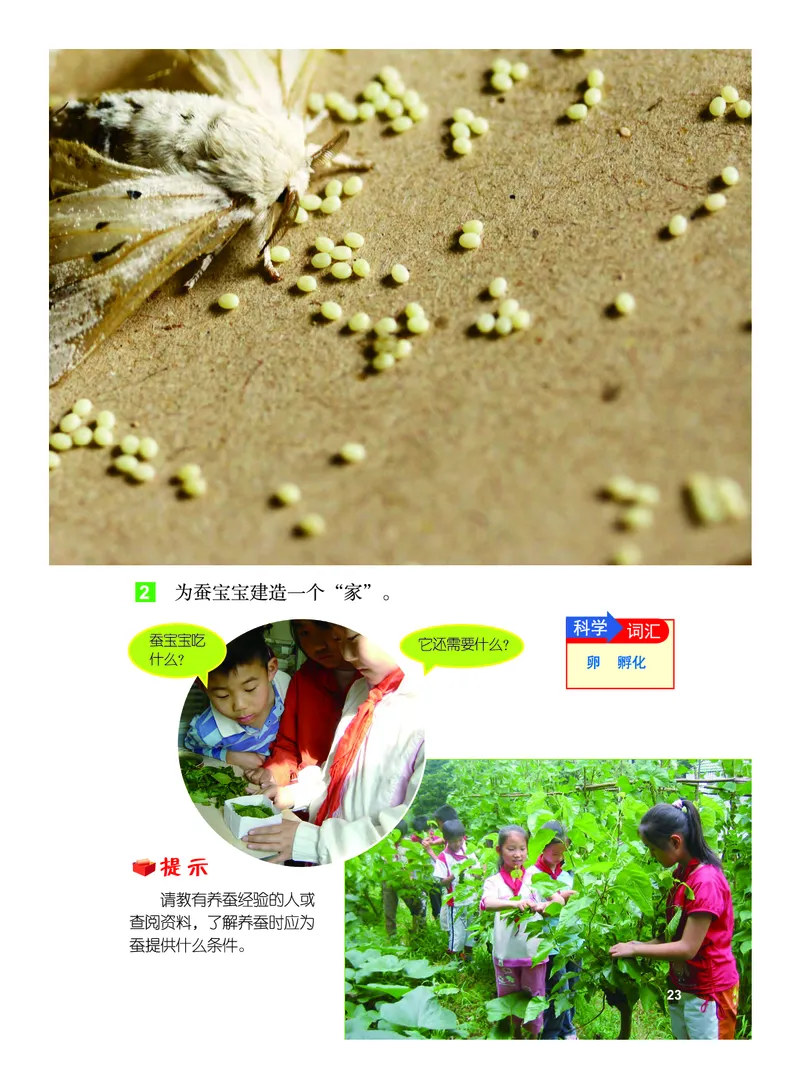 教科版3年级科学下册高清教材_全部版本&bull;小学科学电子课本_教科版小学科学电子课本