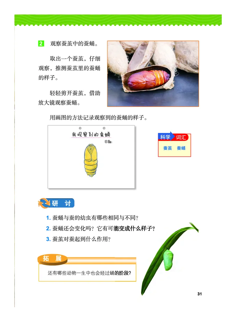 教科版3年级科学下册高清教材_全部版本&bull;小学科学电子课本_教科版小学科学电子课本