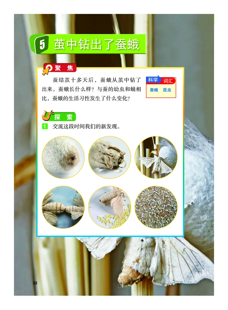 教科版3年级科学下册高清教材_全部版本&bull;小学科学电子课本_教科版小学科学电子课本