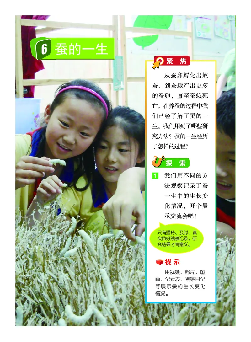 教科版3年级科学下册高清教材_全部版本&bull;小学科学电子课本_教科版小学科学电子课本