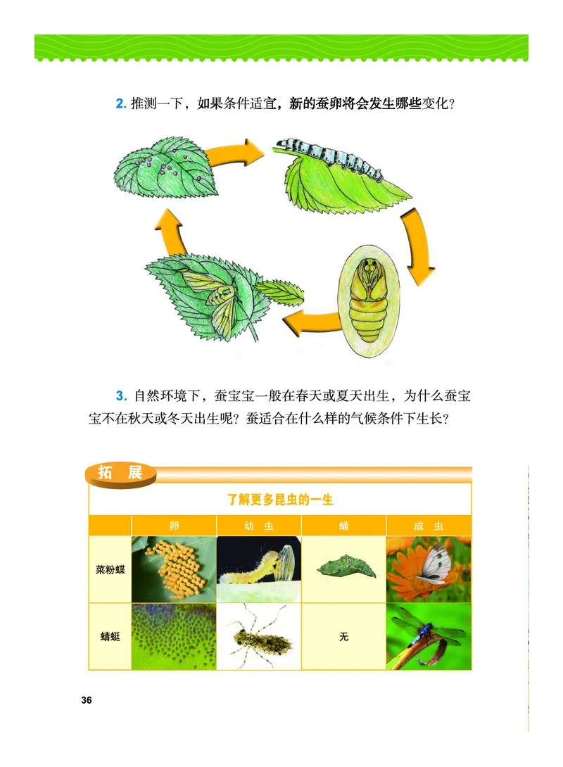 教科版3年级科学下册高清教材_全部版本&bull;小学科学电子课本_教科版小学科学电子课本