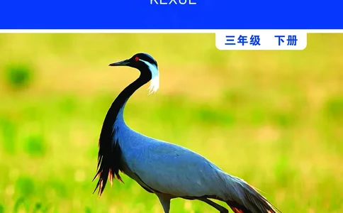 教科版3年级科学下册高清教材_全部版本&bull;小学科学电子课本_教科版小学科学电子课本